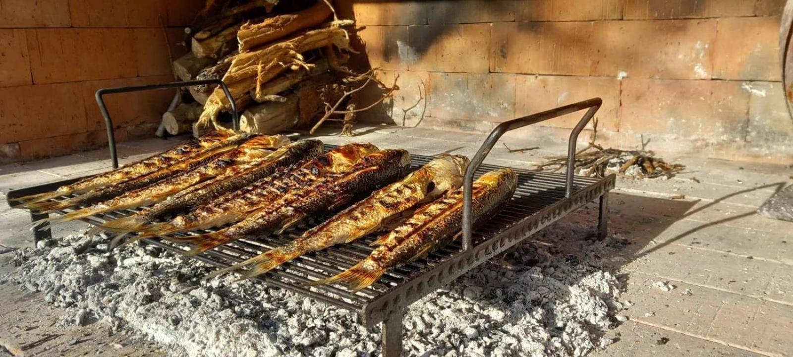 Appartamento Apartman Bojana Starigrad Paklenica Esterno foto